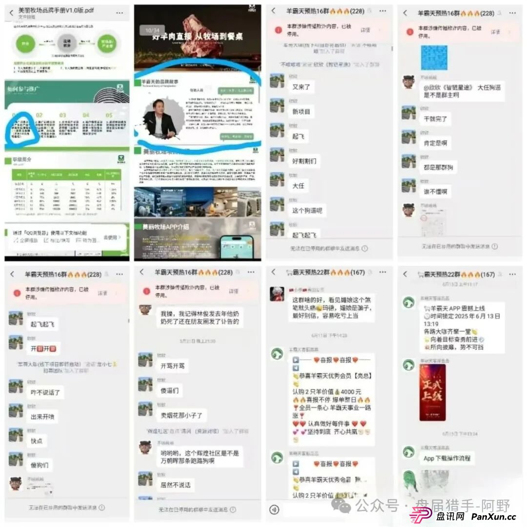 惊爆！“美丽牧场羊霸天”未上线狂揽4000万，竟是惊天资金盘骗局(3)