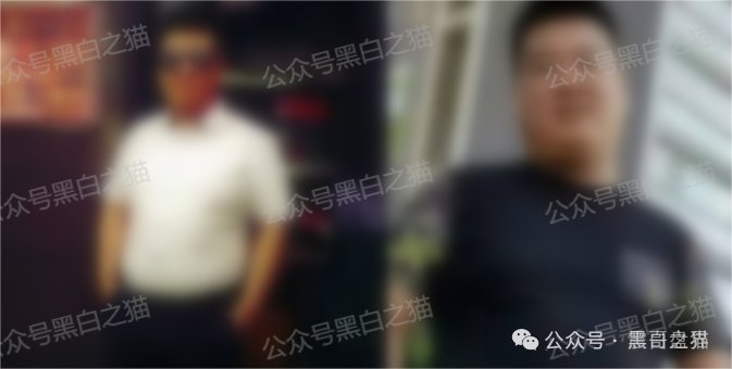 Veridian(维盛社区)资金盘骗局,已经单割,即将崩盘跑路(3) Veridian(维盛社区)资金盘骗局,已经单割,即将崩盘跑路(3)