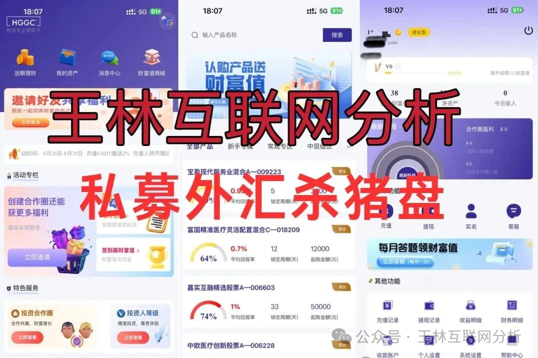 11月14日曝光：最新资金盘项目骗局，闪电鲨，HKMEX，鑫合盛，富邦金控，HGGC，搜了宝...随时可能卷钱跑路！(5)