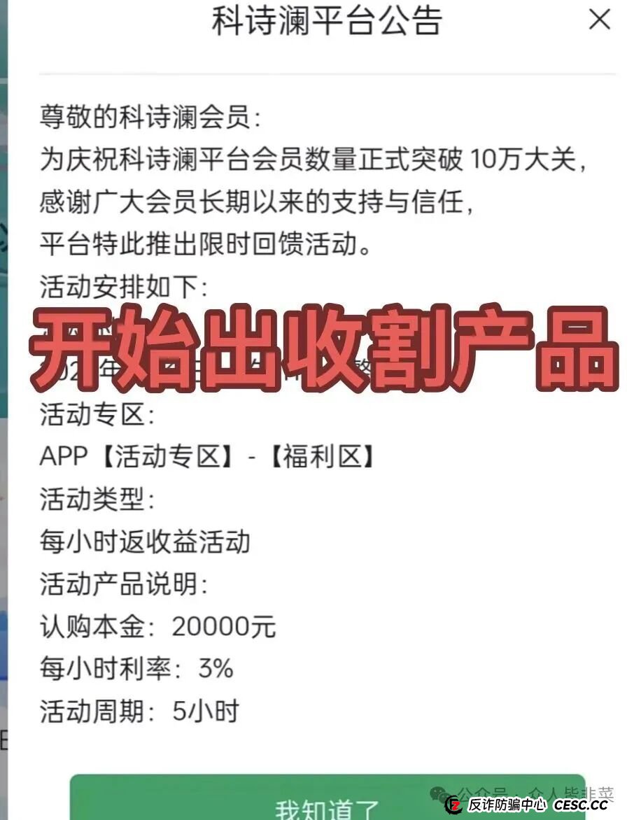对话一位“科诗澜”受害者：我不是没怀疑，只是输给了“万一会是真的”(1)
