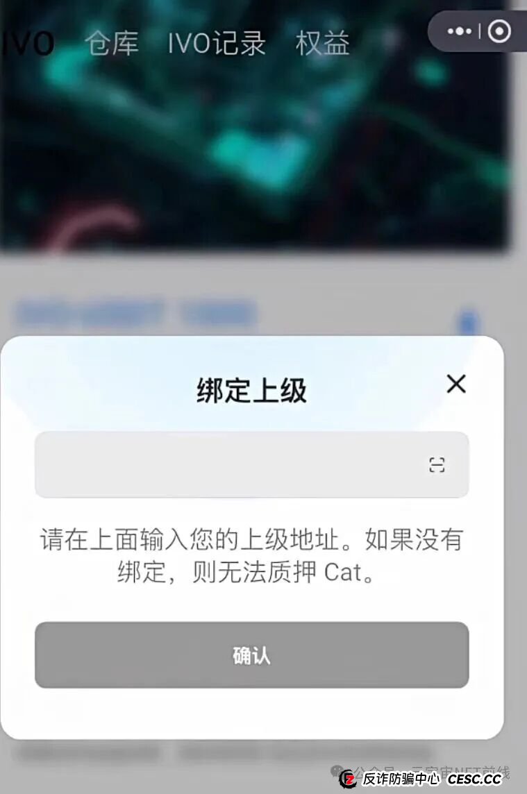 深度起底“菠萝猫”：从“零代码开发”到“百倍收益”，一场针对普通人的精