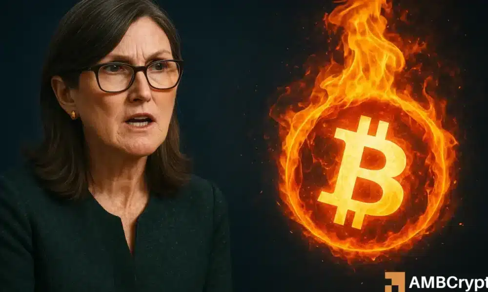 “已经触底了吗？”——凯茜·伍德对新一轮比特币周期的押注内幕(1)
