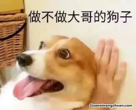 把网络表情包变成3D钞票!我们靠AI摆摊实现日入四位数(1) 把网络表情包变成3D钞票!我们靠AI摆摊实现日入四位数(1)