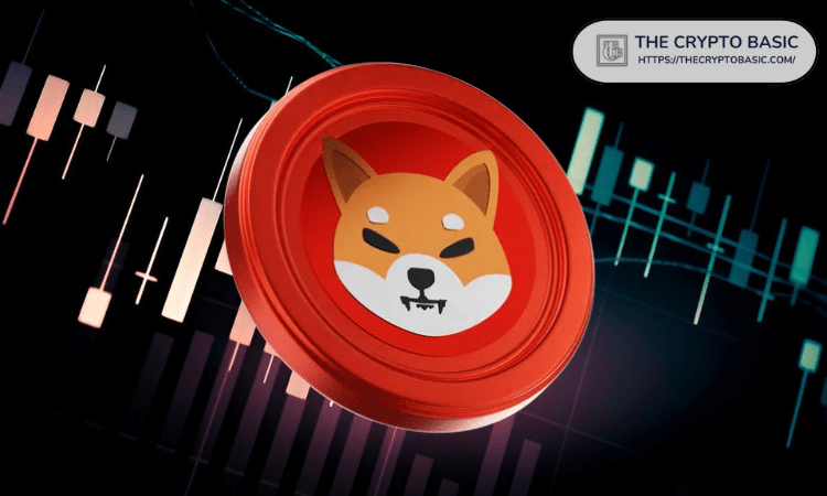 12月24日柴犬价格分析：柴犬价格能否触底反弹？(1)