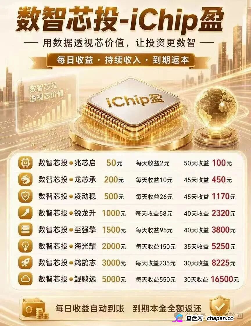 投5000日赚550,年化超4000%|数智芯投的“芯片投资”,买的不是芯片,是下一批
